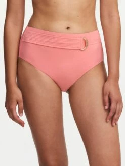 Chantelle CELESTIAL Bikini Taillenslip