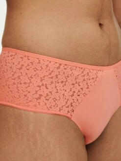 Femilet Norah Shorty -Outlet CHANTELLE Store F92240 0XU 4 1