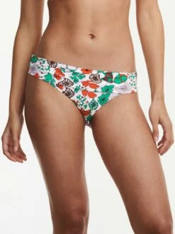Passionata Jaia Bikini Taillenslip -Outlet CHANTELLE Store P40F80 0IR 9