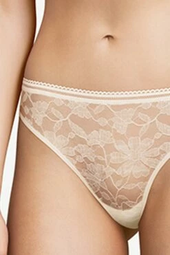 Passionata MARTA Tanga -Outlet CHANTELLE Store P46H70 0NL 1 1