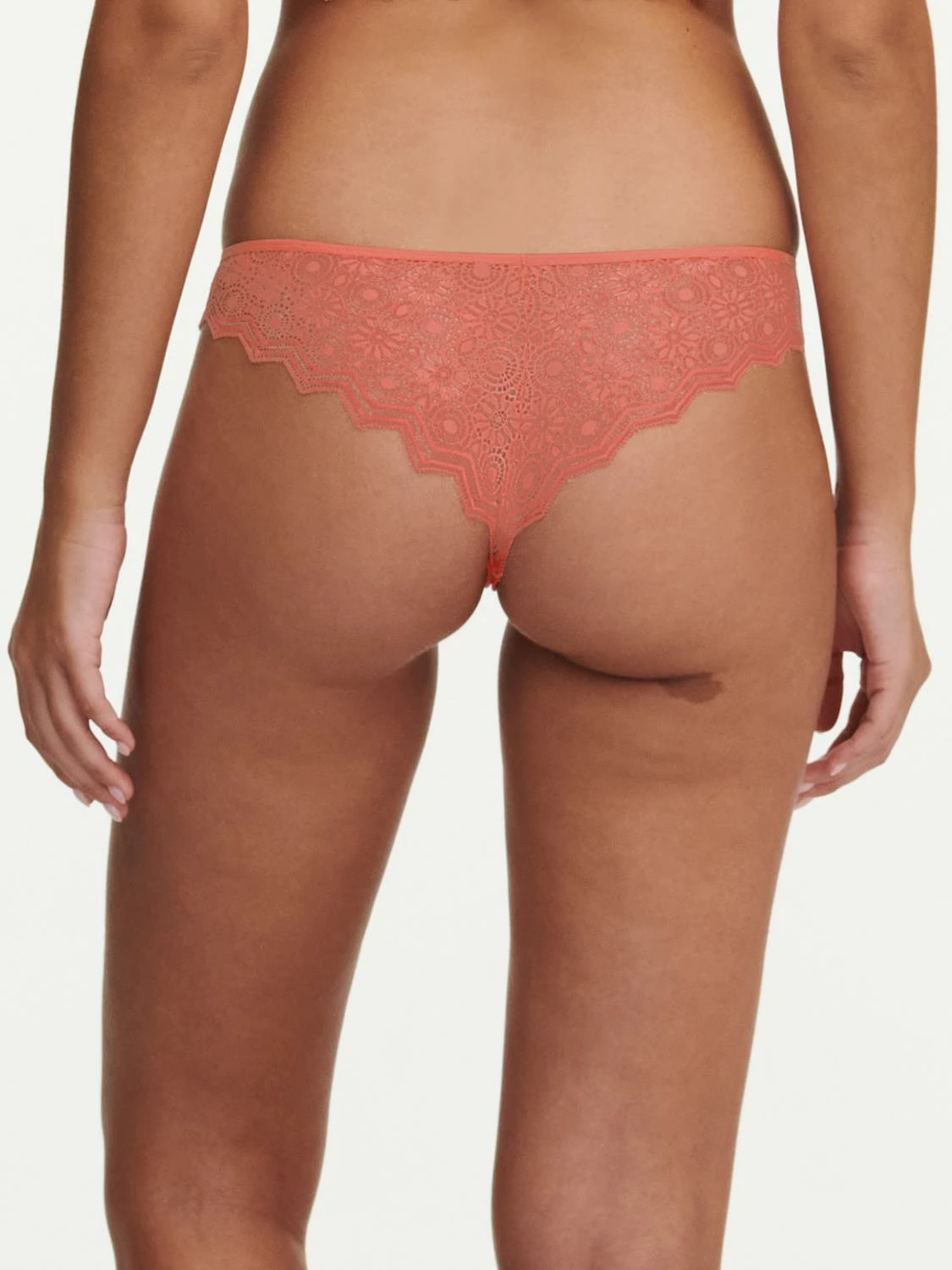 Passionata Georgia Tanga 2 Passionata Georgia Tanga – Bild 2